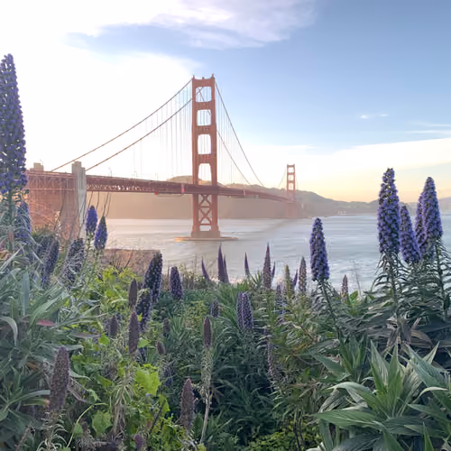 Golden Gate Bridge