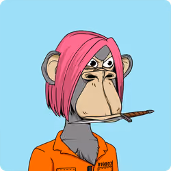 Bored Ape Yacht Club