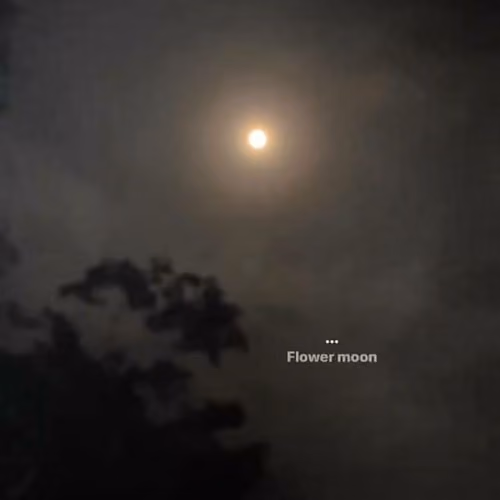 Mokshith's moon photography  (Blood Moon - Very Rare)