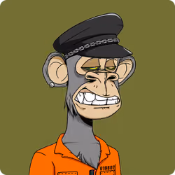 Bored Ape Yacht Club