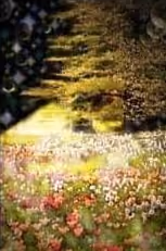 lunar garden 