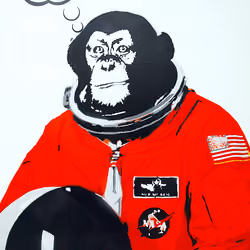 Moon Chimp. Deep. 