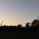 1080950