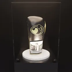 Undefeated Champion - Floyd Mayweather