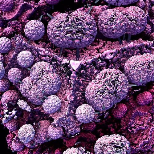 Microscopic