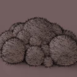 Hairy Pearls #4