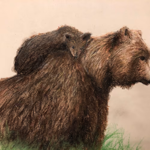 Chalk art bears BY SheWolf