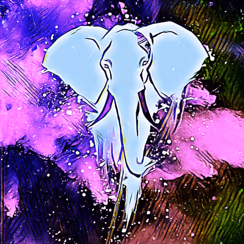 TUSKER.FINANCE 