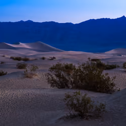 Mesquite Flat Sand Dunes