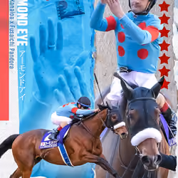 Almond Eye x Christophe Lemaire collectible card 1/1 (Sideline Series)