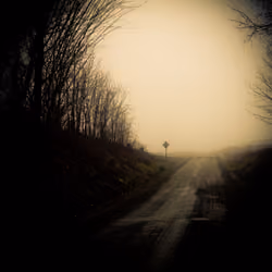 In The Distance