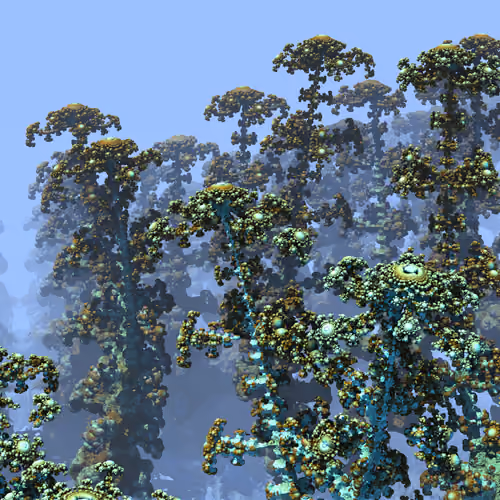 Rainforest