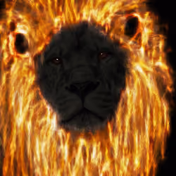 Lion-Like-A-Phoenix