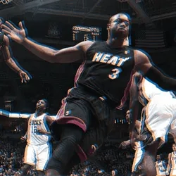 Dwyane Wade x LeBron James