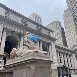 NYPL - Even Lions Wear Masks