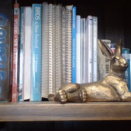 The Bookshelf