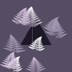 Fern Study 01