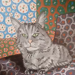 Le chat