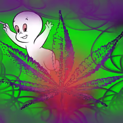 Casper