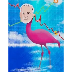 Fudmingio Peter Schiff haters just hate