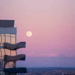 Moonshot
