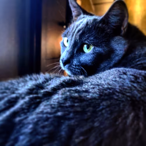 My Missy