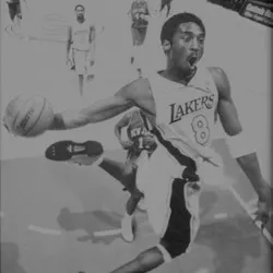 Kobe's Back
