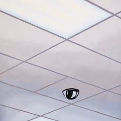 You Are Not Being Paranoid,2021