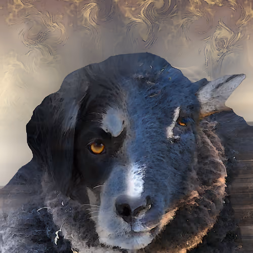 Half-a-dog