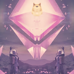 DogeSeeing