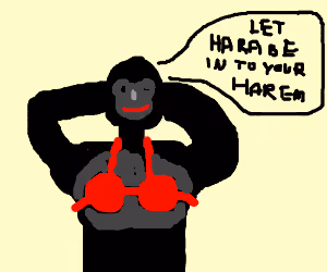 haram-bae