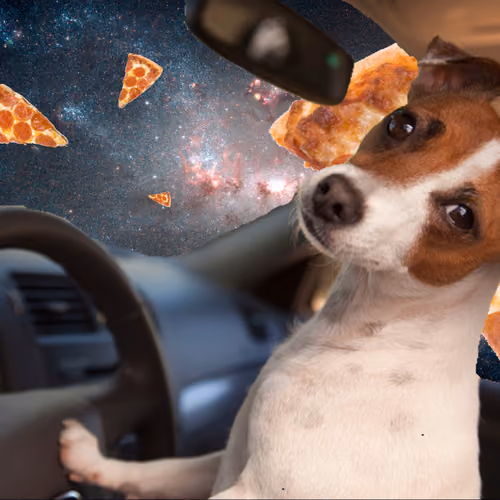 Space Dog  