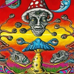 Warped Visions