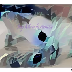 KittenCard#2