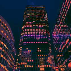 CITY LOVER