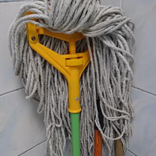 Angry Mop