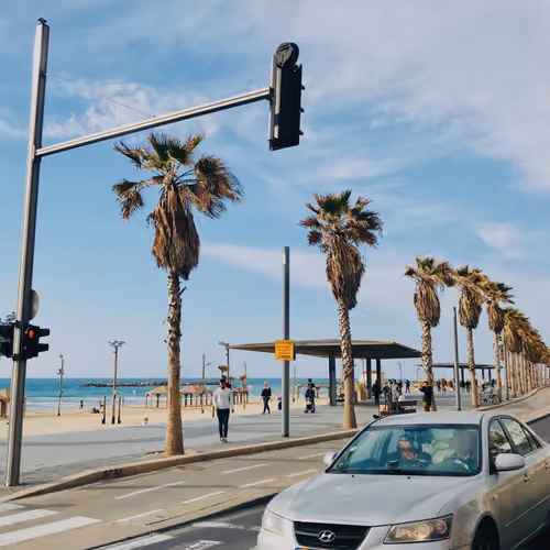 TLV 