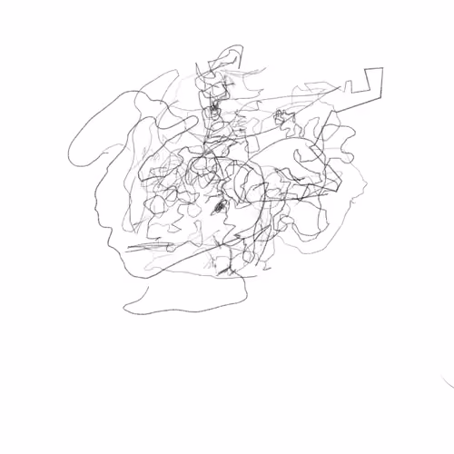 Human Chaos