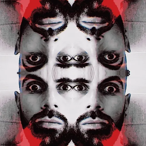 Infinite Self Portrait