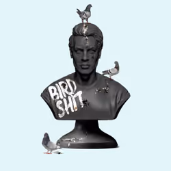Bird Shit Sculpture