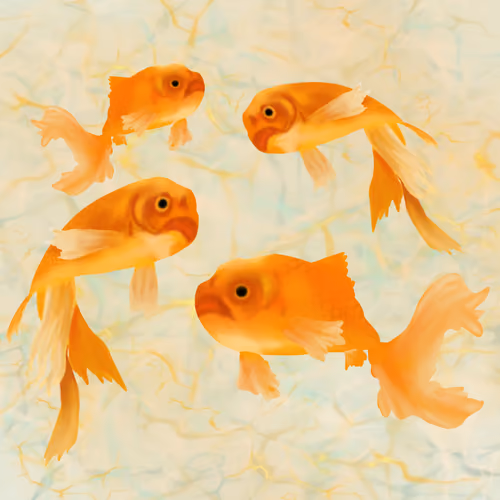 Swirling Goldfish