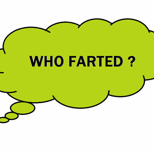 Who farted ?