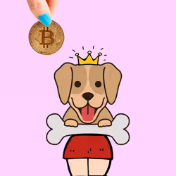 queen of the coins