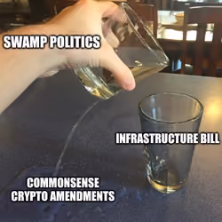 Swamp Politics