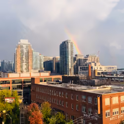 Toronto Rainbow