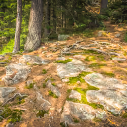 Rocky mound 2/50 (a nice place to sit)