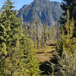 An alpine scene, remote British Columbia