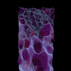 Lysherbic Monolith 