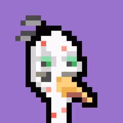 Brown Heron