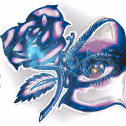 Rose Eye - Galaxy Edition